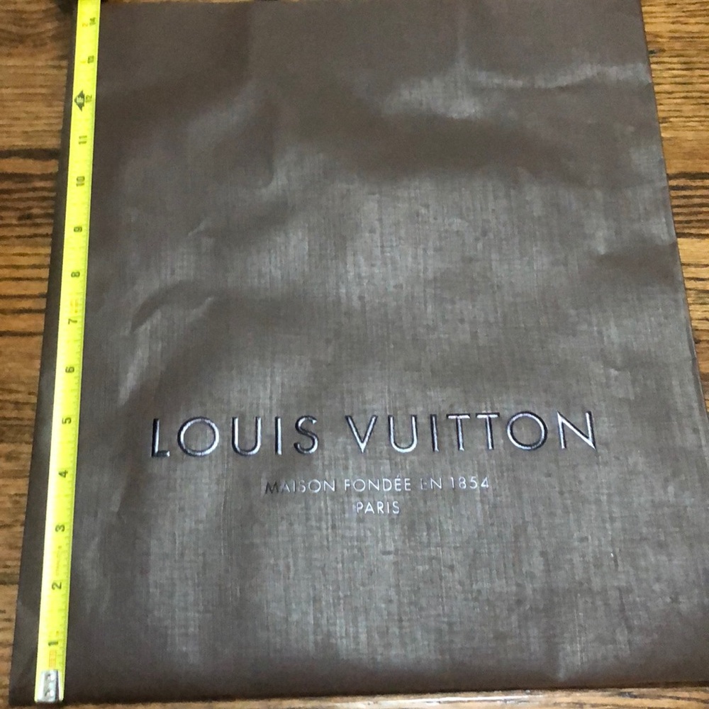Louis Vuitton Paper Shopping Bag - Picture 1 of 7